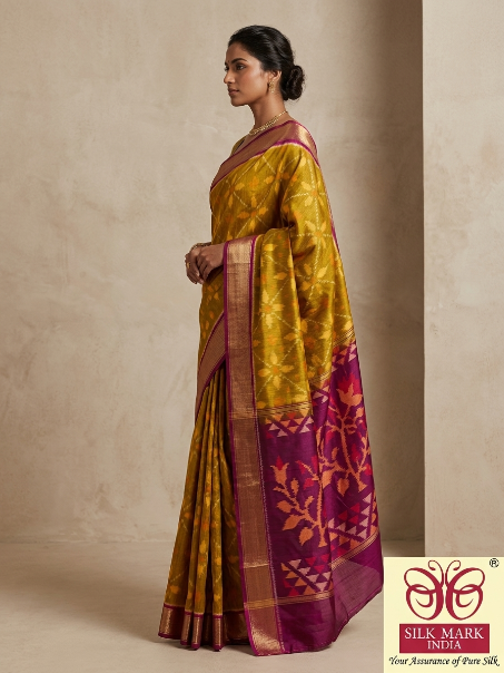 Printed Pochampally Designer Dola Silk Saree