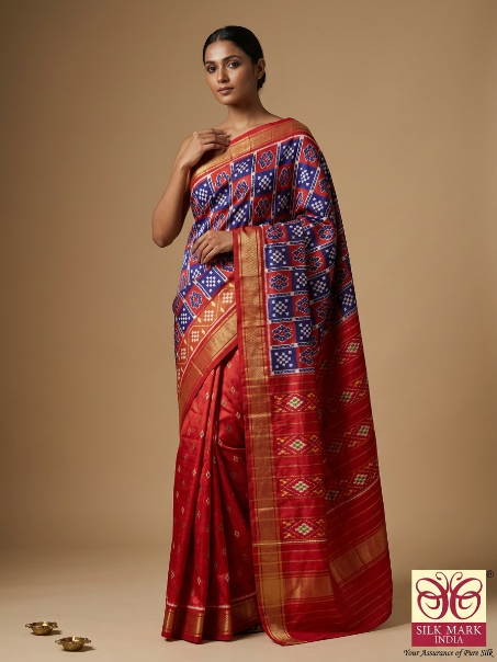 Ethnic Pochampally Dola Silk Saree with Blouse