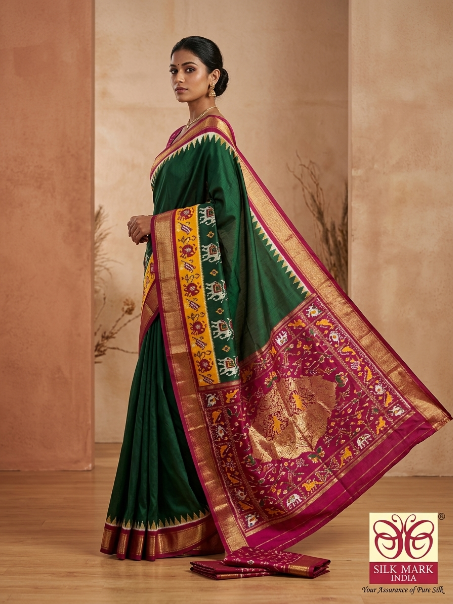 Contemporary Pochampally Dola Silk Saree
