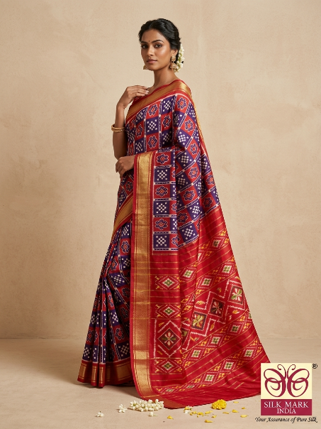 Ethnic Pochampally Dola Silk Saree with Blouse